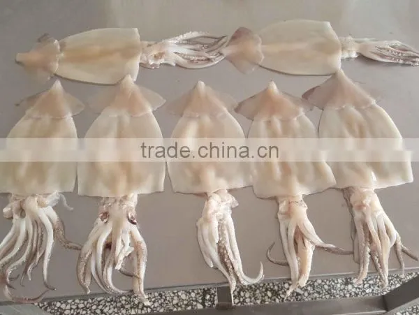 SQ-400 High Efficiency Fish Skin Remover Removing Removal Machine photo-5