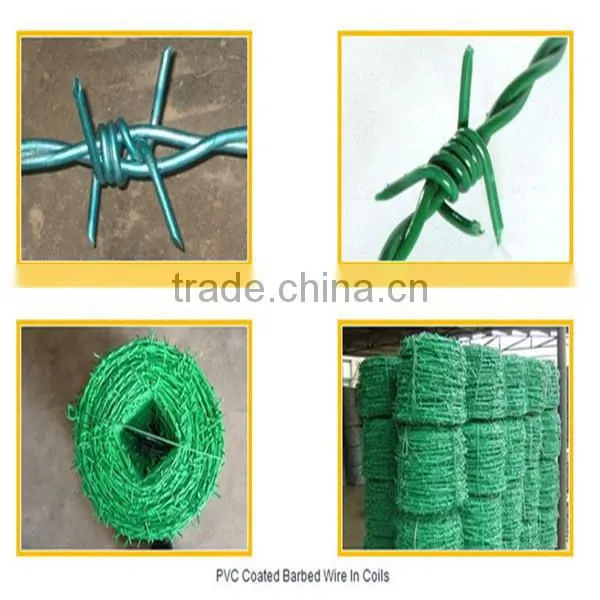Galvanized PVC Coating Barbed Wire photo-2