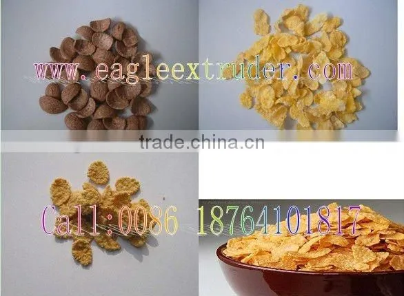 Puffed Cereal Supercritical Co2 Extruder photo-2
