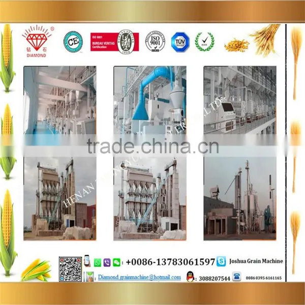 Factory Direct Supply 50 T/Day Maize Flour Machine Maize Milling Machine photo-2