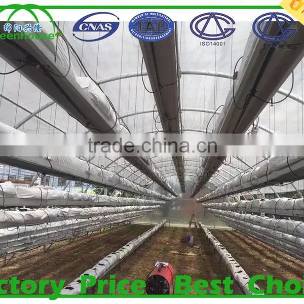Hot Sale Galvanized Steel Pipe for Greenhouse Frame photo-5