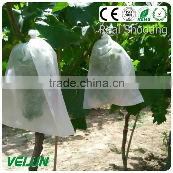Nonwoven Fabric for Agriculture photo-2