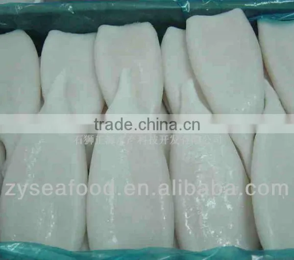Frozen Argentina Squid Products photo-4