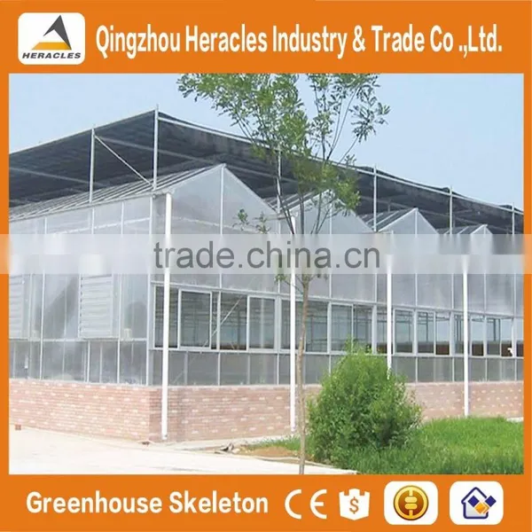 Heracles Trade Assurance Multispan Tunnel Greenhouse photo-3