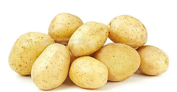 Fresh Potatoes