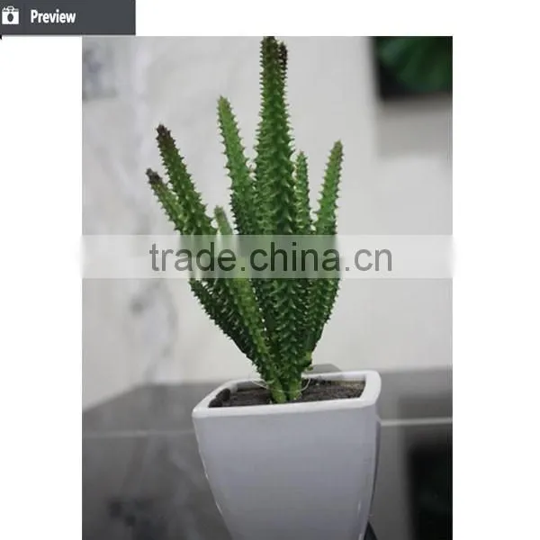 Artificial Mini Succulent Bonsai Potted Succulent Small Potted Plant photo-5