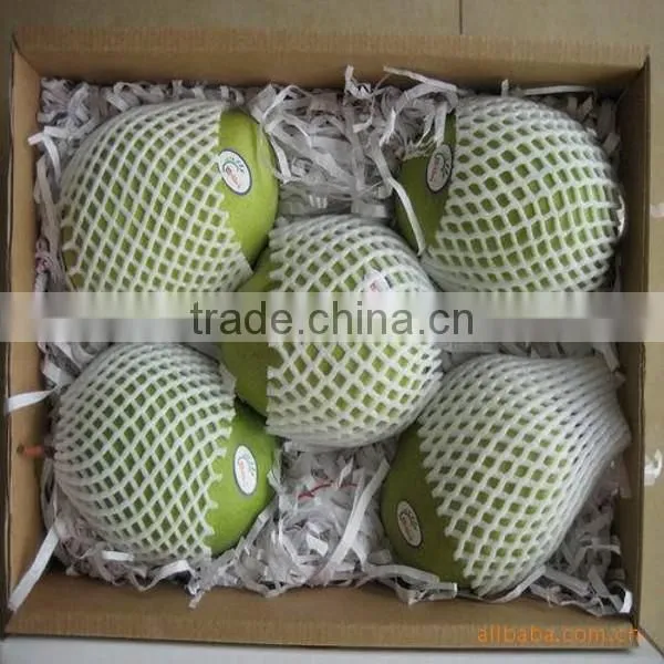 EPE Plastic Fruit Packaging Fruit Protection Net for Papaya photo-3