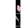 Artificial Flowers