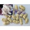 Texturized Soybean Fiber Protein Machine photo-2