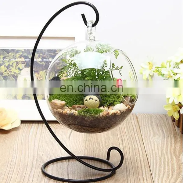 Terrarium Glass Terrarium Round Clear Glass Globe Ball Terrarium Planters Container Glass Flower Vase