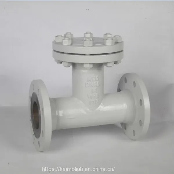 DN50-400mm T Type Straight Through Strainer photo-3
