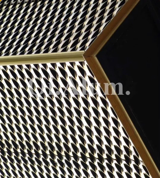 China Manufacturer SDF Coating Hexagonal Hole Perforated Metal Mesh photo-4