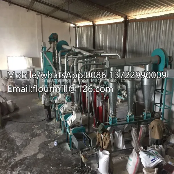Small Grinder Machine Automatic Maize Corn Grain Milling Machine Grinding Equipment photo-2