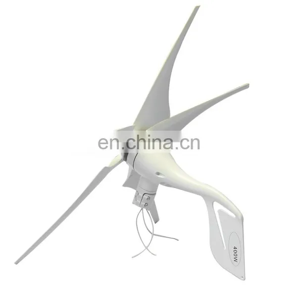Factory Hot Sale Household Small 12V to 48V Wind Turbine 300W 500W 800W 1000W Wind Turbine Generator Wind Turbines Price photo-5