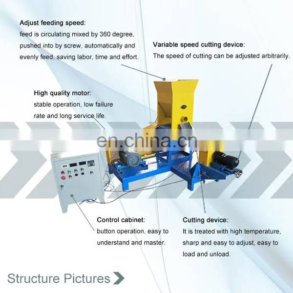 Machine Manufacturers Philippine Floating Fish Food Feed Pellets Machine photo-4