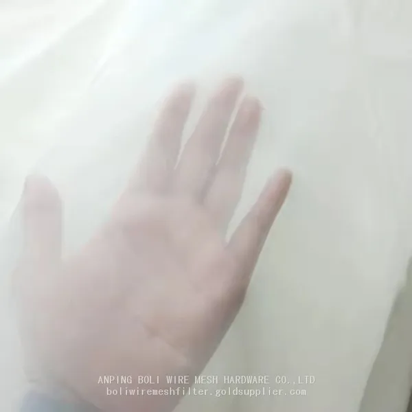 Hot Sale Durable 50 100 150 Micron Mesh 2mm 1mm Micron Nylon Mesh Filter White Screen Filtration Food Grade Water Industrial Cloth photo-2