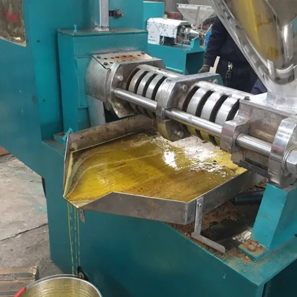Screw Oil Press Machine Peanut Hazelnut Coconut Sesame Soybean Avocado Sunflower Oil Pressing Machine Oil Presser photo-3