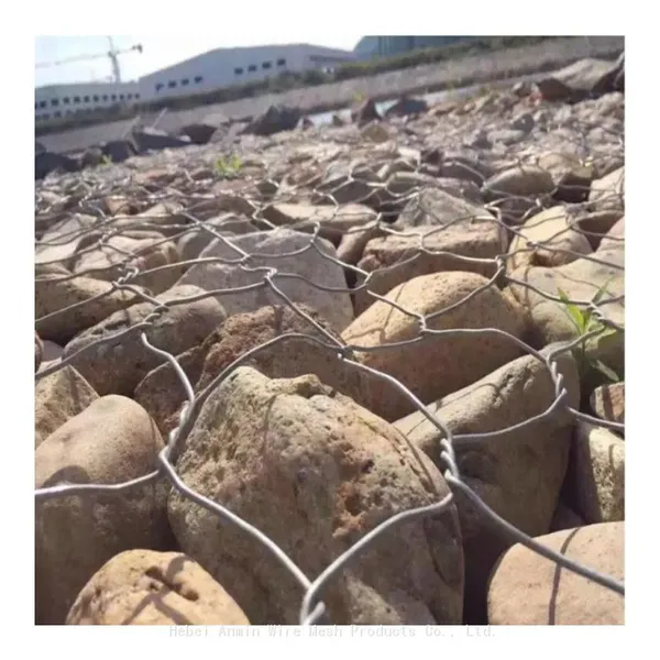 Hot Dipped Galvanized Gabion Cages Metal Wire Mesh Box Hexagonal Net 2x1x1 Gabion Basket photo-2