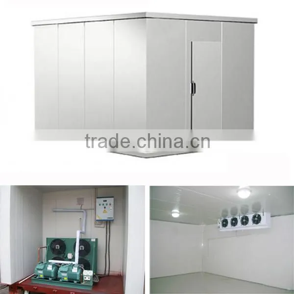 Vaccine Cold Storage/freezing/chilling Room photo-3