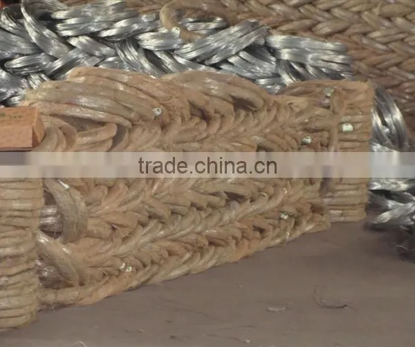 Galvanized Iron Wire Electro Q235 Q195 photo-5