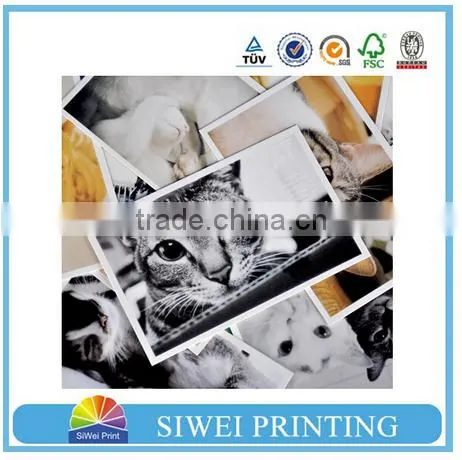 China Wholesale Custom Business Card, Paper Pastcard Printing