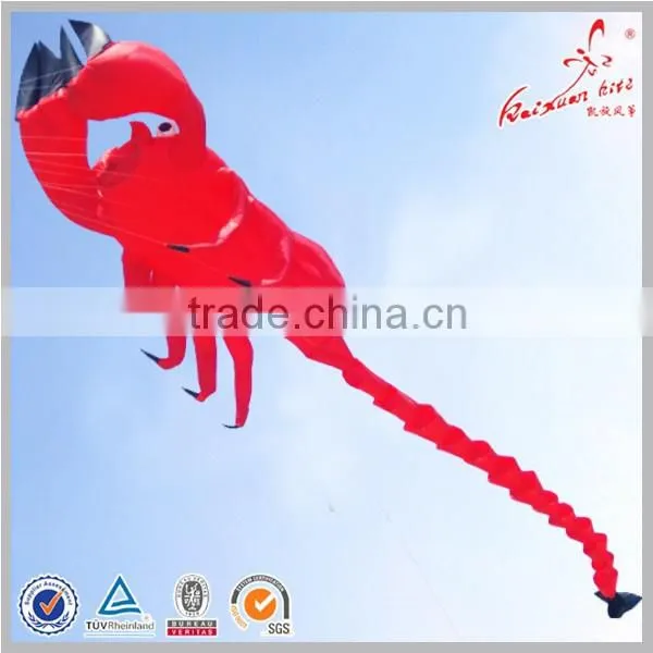 Durable Ripstop Nylon Large Inflatable Kite photo-6