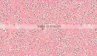 GIO-GLITTER SPECIAL / PU SPARKLING SHINY VINYL FOR TEXTILE HEAT TRANSFER FILM CAD PLOTTER CUT / SPECIAL COLOR photo-4