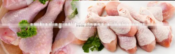 High Quality Frozen Chicken Drumstick for Sale
