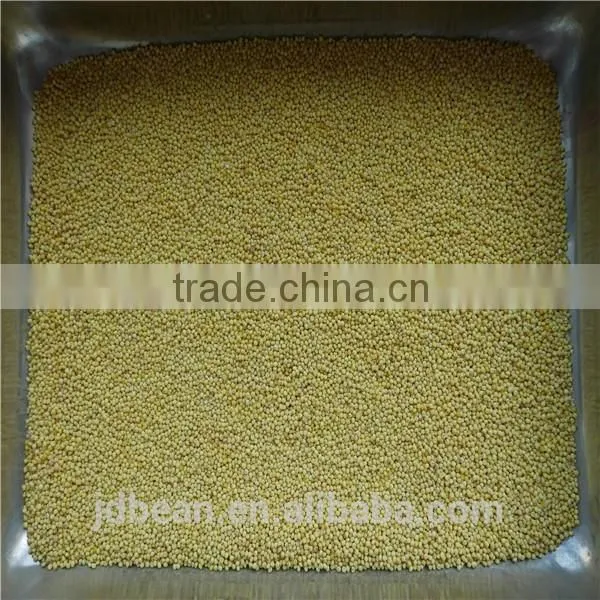 Organic Hulled Glutinous Yellow Broomcorn Millet Hot Sale for Supermarket photo-6
