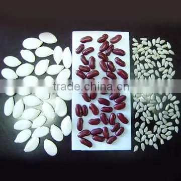 Pumpkin Seeds, Peanuts, Pinenut Kernels, Sunflower Kernels