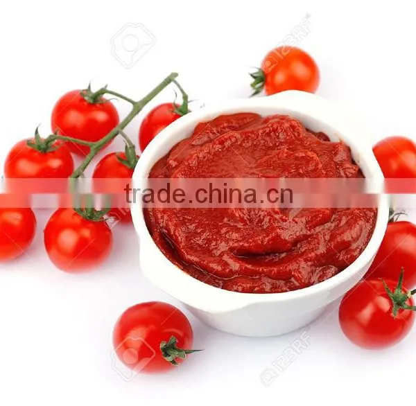 Tomato Paste, ( Sachet Tomato Paste, Canned Tomato Paste, Tinned Tomato Paste photo-3