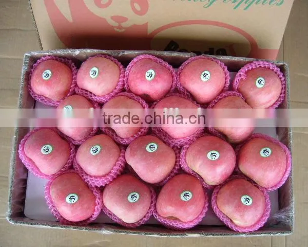 Fresh Apple Fruit Packaging photo-2