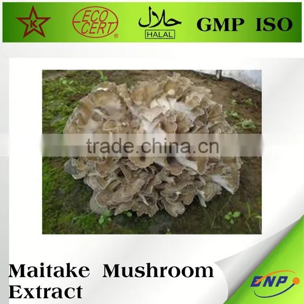 Natural Shitake Mushroom Extract