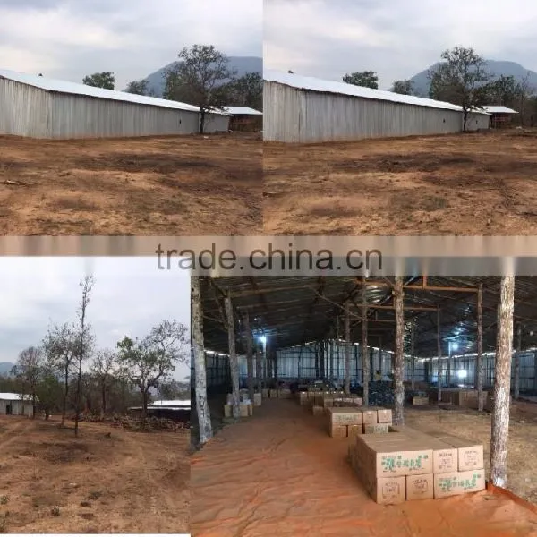 White Charcoal High Quatily in VIET NAM photo-6