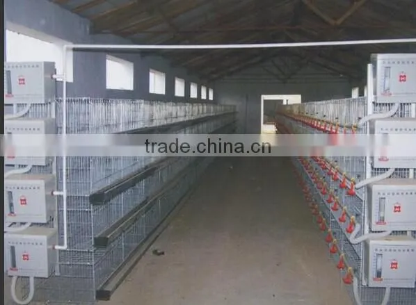 Agricultural Equipment Chicken Cage Stainless Steel Layer Chicken Cage A Type photo-2