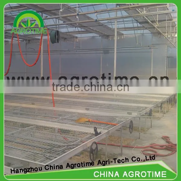 High Qualified Seeded Benching System in Greenhouse photo-4