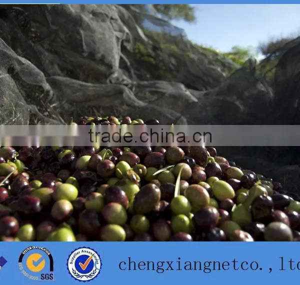 PE Olive Net/Fruit Harvest Netting photo-2