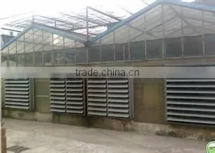 Commercial Greenhouse photo-4