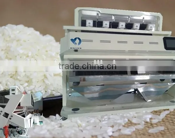 MINGDER Black Rice Corlor Sorting Machine With CCD photo-6
