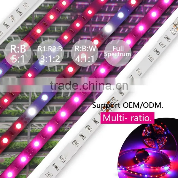 LED Strip Grow Light indooruse