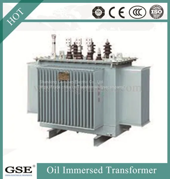 Oil Immersed Saving Energy Transformer/Power Transformer With ISO, TUV and CE Standard photo-4