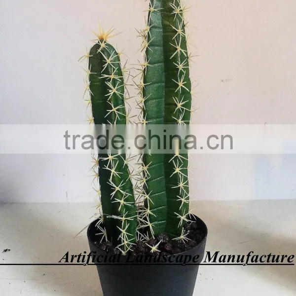 SJ3001014 Landscaping Ornament Cactus Plant/catos Green Plant photo-3