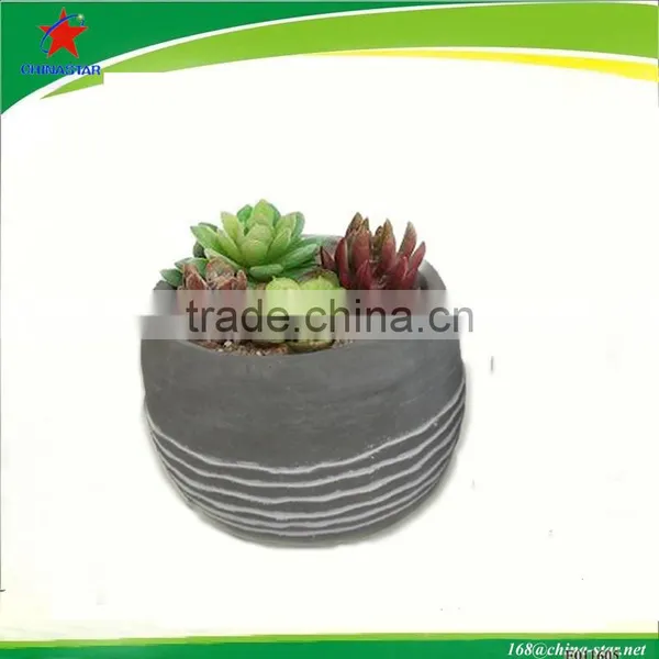 Round Cement Planter With Succulents photo-2