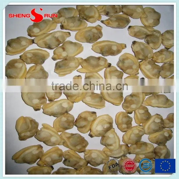 IQF Cooked Baby Clam Meat Frozen photo-4