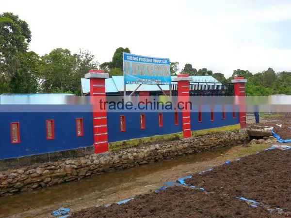 Sell Gracilaria, Euchema Spinosum And Cottoni Seaweeds photo-2