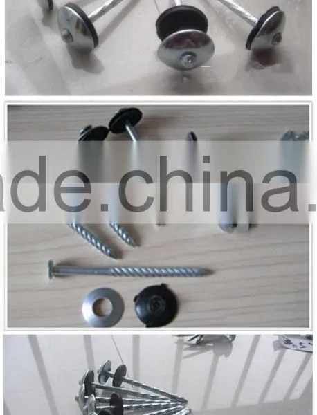 High Quality Roofing Nail From China Manufacturer photo-6