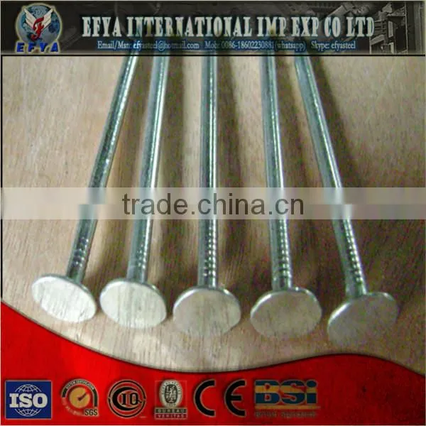 Roofing Nail photo-2