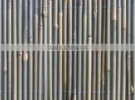 Natural Rolled Bamboo Fence photo-4