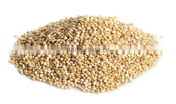 Quinoa Seed photo-2