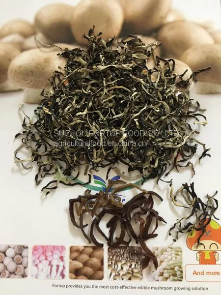 Factory Price Dried White Back Black Fungus Mushroom Short Slices (1-5CM Length) photo-4